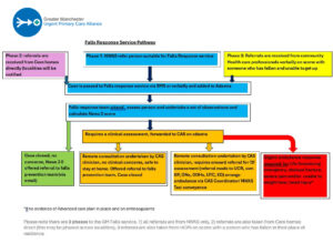 Falls Response Service Pathway